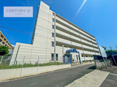 ���̑����n�@�u���̕����C�ɂȂ�I�v�u�������Ăǂ�ȏ��v�u�����Əڂ����m�肽���I�v�Ǝv������A���C�y�ɂ����k���������B