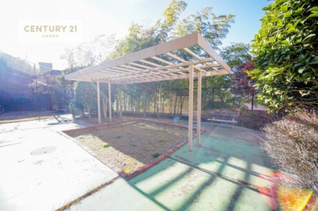 ���̑����p���@�~�n���͗΂������ς��ł��I
���V�C�̂����x���ɂ͗΂����ς��̕~�n���C���]���ɎU��������ł��ˁB