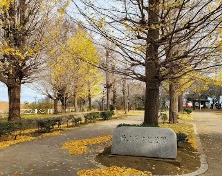 ���ӊ��@-