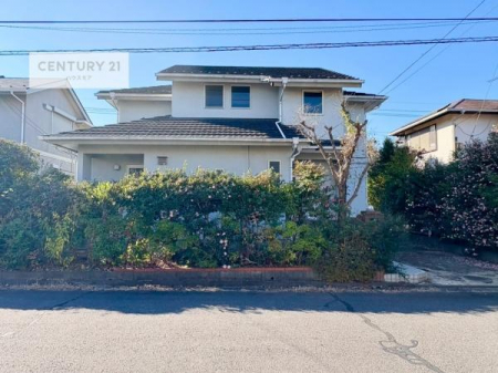 ���̑����n�@�u���̕����C�ɂȂ�I�v�u�������Ăǂ�ȏ��H�v�u�����Əڂ����m�肽���I�v�Ǝv������A���C�y�ɂ����k���������B