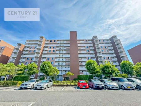 ���̑����n�@�u���̕����C�ɂȂ�I�v�u�������Ăǂ�ȏ��v�u�����Əڂ����m�肽���I�v�Ǝv������A���C�y�ɂ����k���������B