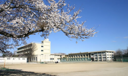 ���ӊ��@-