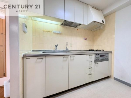 �L�b�`���@�Ǖt�L�b�`���́A�W�����č�ƂɎ��|����܂��I��Ƃ̓������N���N�I
�����̗��������肻���ł��ˁI���[�X�y�[�X���L�x�ŁA�����X�y�[�X���X�b�L���ƕЕt���Ђ�`�����p�ł��܂��I