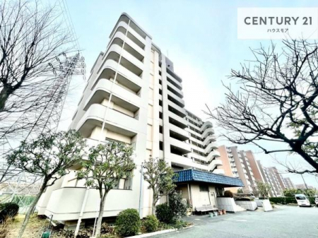 ���̑����n�@�u���̕����C�ɂȂ�I�v�u�������Ăǂ�ȏ��H�v�u�����Əڂ����m�肽���I�v�Ǝv������A���C�y�ɂ����k���������B