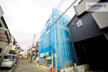 ���̑����n�@�k��4m���H�ɖʂ��A�Ԓʂ肪���Ȃ��q��Đ��т����S�̊��ł��B