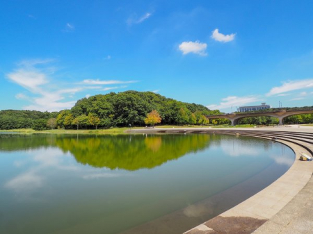 ���ӊ��@-