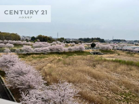 �Z�˂���̒��]�ʐ^�@�o���R�j�[����̌i�F���Ƃ��Ă��ǂ��ł��I���R���ӂ�钭�]�I
�t�ɂ͍��𒭂߂邱�Ƃ��ł��܂��I