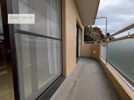 �o���R�j�[�@�z������̗ǂ��o���R�j�[�ŁA�����󕨂��悭���������ł��ˁI
���V�C�̗ǂ����ɂ̓o���R�j�[�֏o�ă��t���b�V������̂��C�����悳�����ł��B