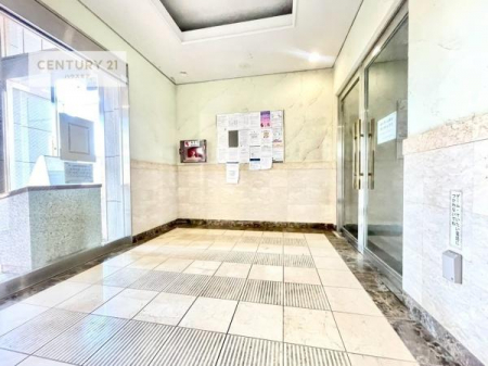 ���r�[�@���r�[�͖��邭�J���������ς��ł��B����������������āA�o�}���Ă���܂��B
