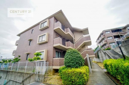 ���n�O�ώʐ^�@���t�H�[�����ł��I���ӊ��⑼�������܂Ƃ߂Ă��ē��\�ł��I�s���Y�̎��Ȃ�ǂ�Ȏ��ł����C�y�ɂ����k���������B