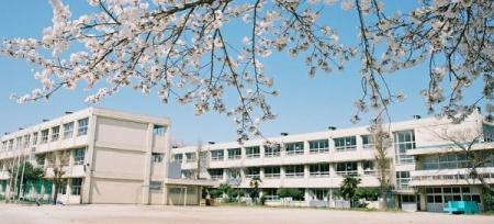 ���ӊ��@-