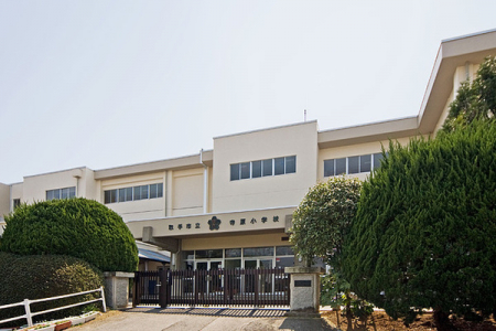 ���ӊ��@-