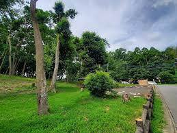 ���ӊ��@-