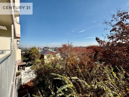 �Z�˂���̒��]�ʐ^�@������������Z��X�ł��I���͂ɂ͍����������Ȃ��A�󂪍L���J����������A�z�������傫���Ղ��邱�Ƃ�����܂���I�C�����̗ǂ������ʂ蔲����X���݂ł��I