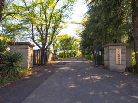 ���ӊ��@-