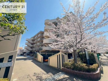 ���̑����n�@�u���̕����C�ɂȂ�I�v�u�������Ăǂ�ȏ��H�v�u�����Əڂ����m�肽���I�v�Ǝv������A���C�y�ɂ����k���������B