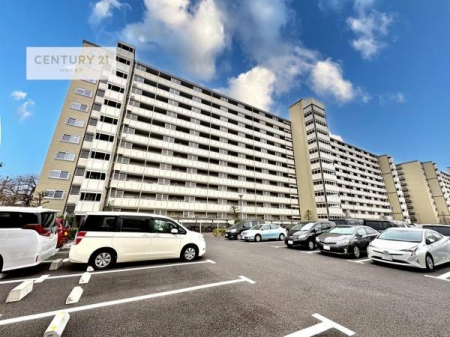 ���̑����n�@�u���̕����C�ɂȂ�I�v�u�������Ăǂ�ȏ��H�v�u�����Əڂ����m�肽���I�v�Ǝv������A���C�y�ɂ����k���������B