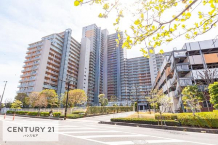 ���̑����n�@���炩�ȍ̌��ɕ�܂ꂽ�A�S�n�悭�㎿�ȋ�ԁB���ۂ̖��邳�⋏�S�n�̗ǂ����A���Ќ��n�ł��̊����������B���₢���킹��S��肨�҂����Ă���܂��B