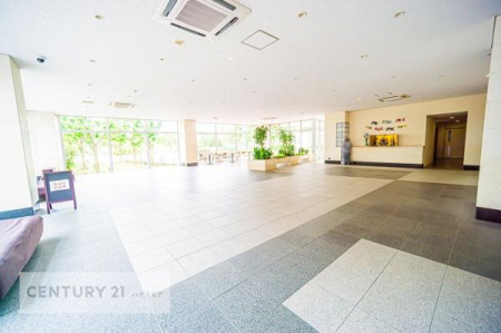 ���r�[�@�L�����r�[�́A�J���������ς��ł��B����������������āA�o�}���Ă���܂��B
