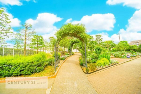 ���̑����p���@�~�n���͗΂������ς��ł��I
���V�C�̂����x���ɂ͗΂����ς��̕~�n���C���]���ɎU��������ł��ˁB