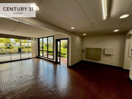 ���r�[�@�L�����r�[�́A�J���������ς��ł��B����������������āA�o�}���Ă���܂��B
