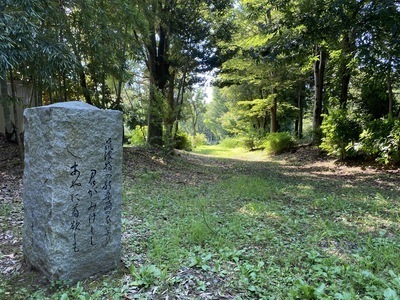 ���ӊ��@-