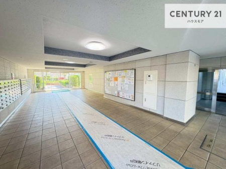 ���r�[�@�L�����r�[�́A�J���������ς��ł��B����������������āA�o�}���Ă���܂��B
