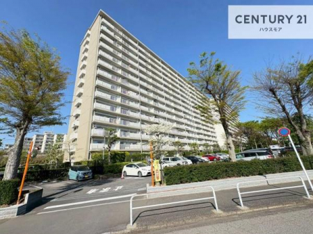 ���̑����n�@�z������A���ʂ��ǍD�ȗ��n�ł��B���񂨋C�y�ɂ��₢���킹���������B