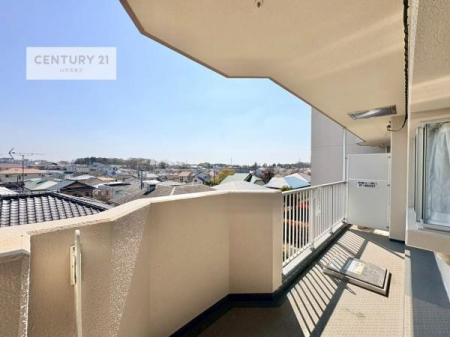 �Z�˂���̒��]�ʐ^�@���]�ǍD�ȃo���R�j�[�B���V�C�̂������ɂ̓o���R�j�[�ւłă��t���b�V������̂������ł��ˁI