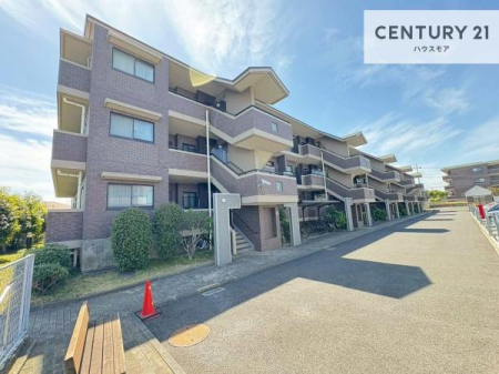 ���n�O�ώʐ^�@�V�K���m�x�[�V�������ł��I���ӊ��⑼�������܂Ƃ߂Ă��ē��\�ł��I�s���Y�̎��Ȃ�ǂ�Ȏ��ł����C�y�ɂ����k���������B