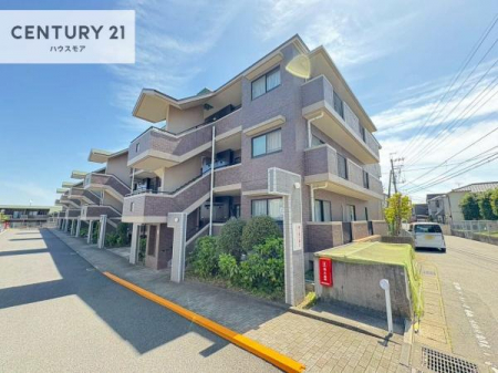 ���̑����n�@�u���̕����C�ɂȂ�I�v�u�������Ăǂ�ȏ��H�v�u�����Əڂ����m�肽���I�v�Ǝv������A���C�y�ɂ����k���������B