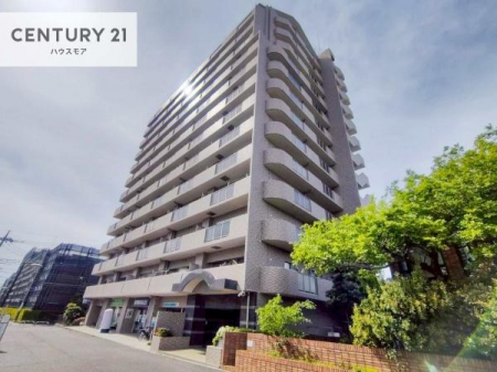 ���n�O�ώʐ^�@���t�H�[�����ł��I���ӊ��⑼�������܂Ƃ߂Ă��ē��\�ł��I�s���Y�̎��Ȃ�ǂ�Ȏ��ł����C�y�ɂ����k���������B