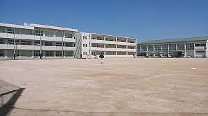 ���ӊ��@-