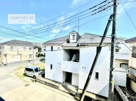 �Z�˂���̒��]�ʐ^�@���]�ǍD�ȃo���R�j�[�B���V�C�̂������ɂ̓o���R�j�[�ւłă��t���b�V������̂������ł��ˁI