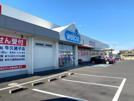 ���ӊ��@-