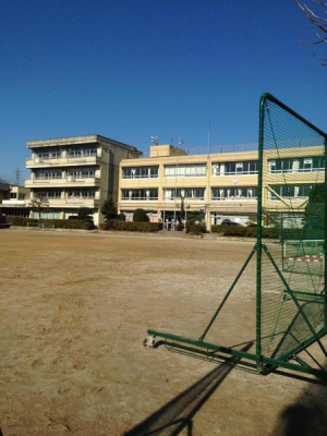 ���ӊ��@-