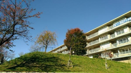 ���ӊ��@-