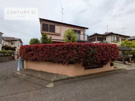 ���̑����n�@�u���̕����C�ɂȂ�I�v�u�������Ăǂ�ȏ��H�v�u�����Əڂ����m�肽���I�v�Ǝv������A���C�y�ɂ����k���������B