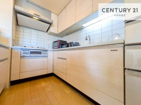 �L�b�`���@��Ƃ����₷���V�X�e���L�b�`���ł��I���[���t���Ă���̂ŁA�����X�y�[�X�ɕ���u���Ȃ��čς݂܂��I
�L�X�g���āA���K�ɍ�Ƃ��ł��܂��I