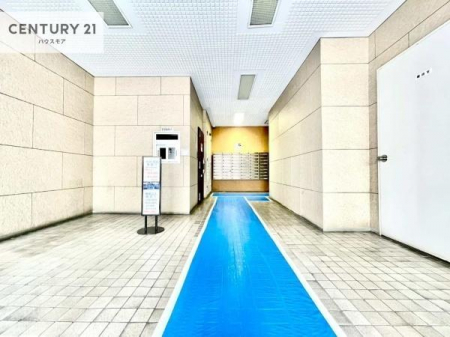 ���r�[�@���r�[�͖��邭�J���������ς��ł��B����������������āA�o�}���Ă���܂��B
