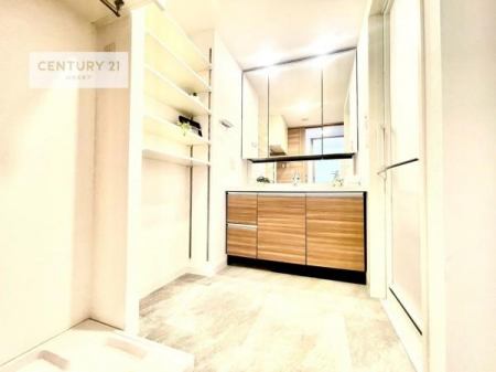 ���ʑ�E���ʏ��@���[�L�x�Ȑ��ʏ��́A�^�I������p�i���������萮���ł��A���ł��������̂����Ԃ�ۂĂ܂��B