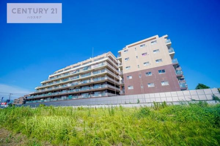 ���̑����n�@�u���̕����C�ɂȂ�I�v�u�������Ăǂ�ȏ��H�v�u�����Əڂ����m�肽���I�v�Ǝv������A���C�y�ɂ����k���������B
