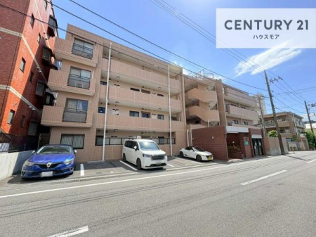���n�O�ώʐ^�@�V�K���m�x�[�V�����ςł��I�{�������\�I���ӊ��⑼�������܂Ƃ߂Ă��ē��\�ł��I�s���Y�̎��Ȃ�ǂ�Ȏ��ł����C�y�ɂ����k���������B