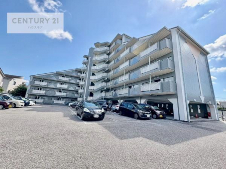 ���̑����n�@�u���̕����C�ɂȂ�I�v�u�������Ăǂ�ȏ��H�v�u�����Əڂ����m�肽���I�v�Ǝv������A���C�y�ɂ����k���������B